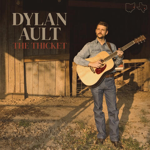 The Thicket album art