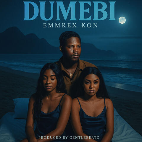 Dumebi album art
