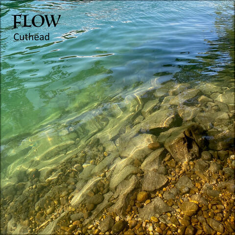 Flow album art