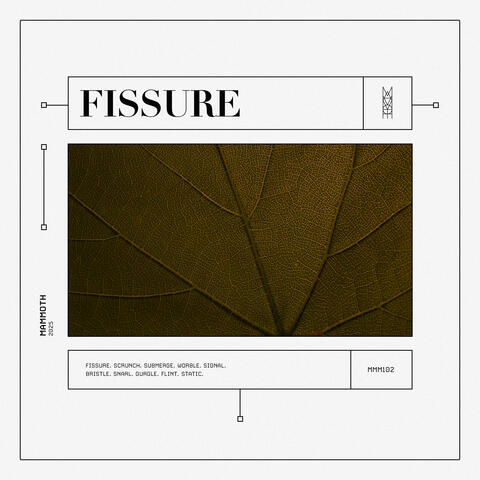 Fissure album art