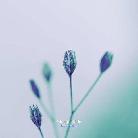 Ink light fade album art