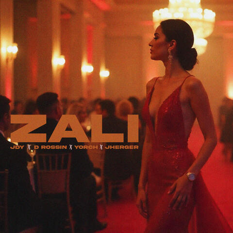 Zali album art