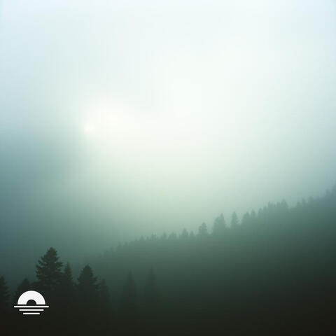 Veilwalker album art