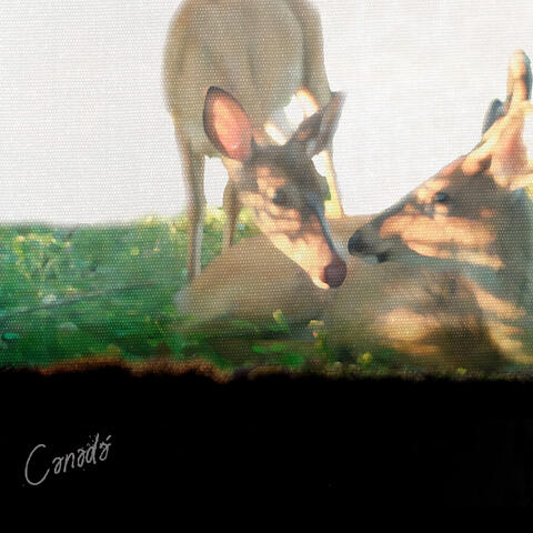 Canadá album art