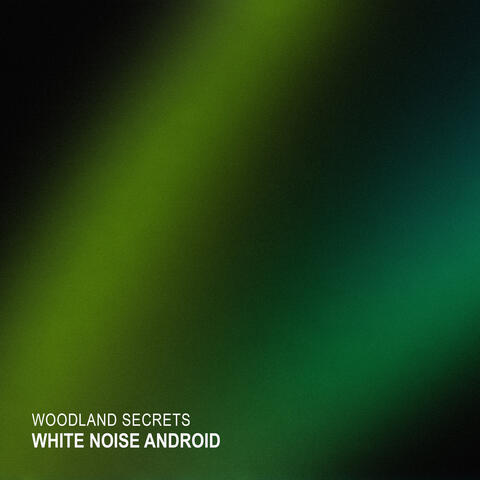 Woodland Secrets album art