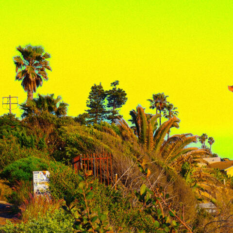 MAGNOLIA album art