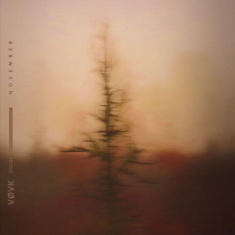 november album art