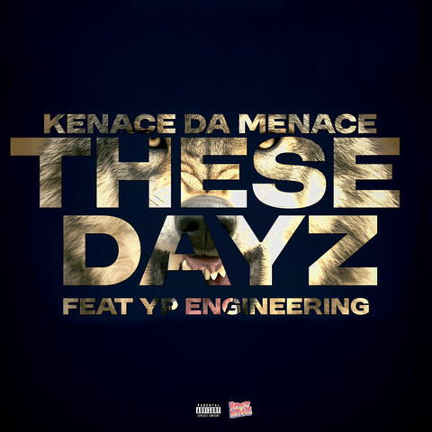 These Dayz album art