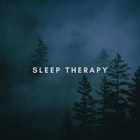 Forest Rain and Cricket Nights album art