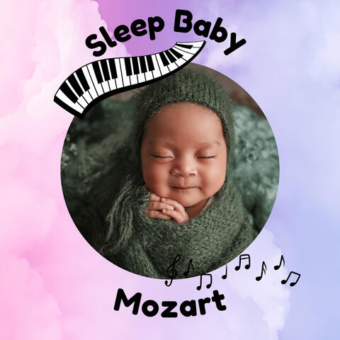 Snuggle Little Teddy album art