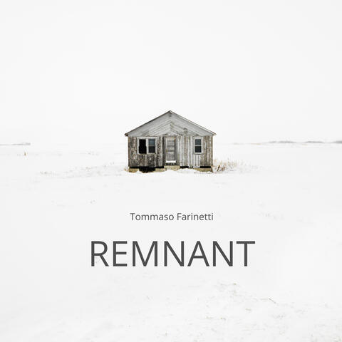 Remnant album art
