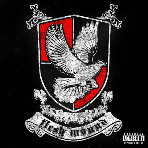 Flesh Wound album art