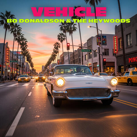 Vehicle album art