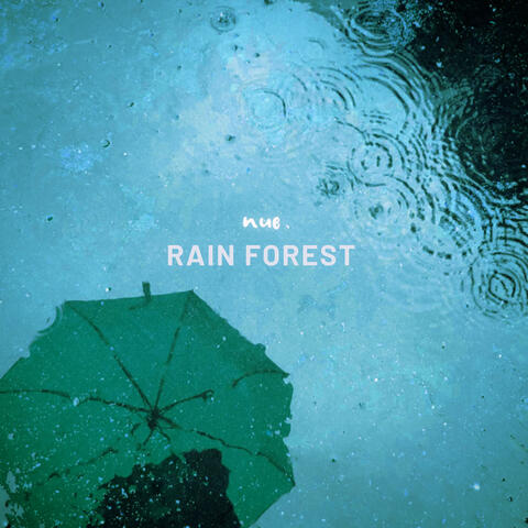 Rain Forest album art
