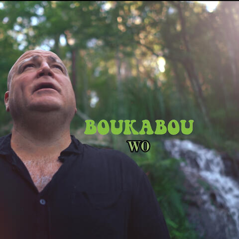 WO album art