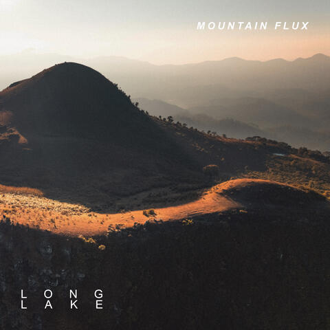 Mountain Flux album art