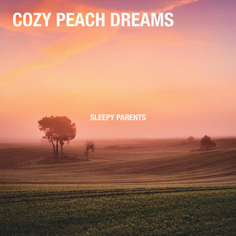 Cozy Peach Dreams album art