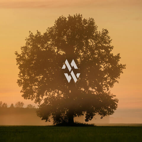Center Flow album art