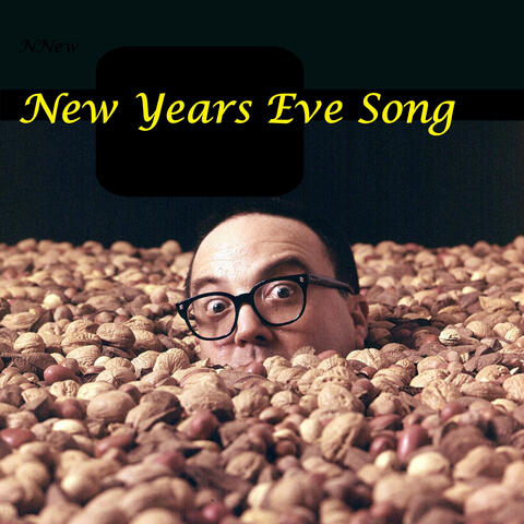 New Years Eve Song album art