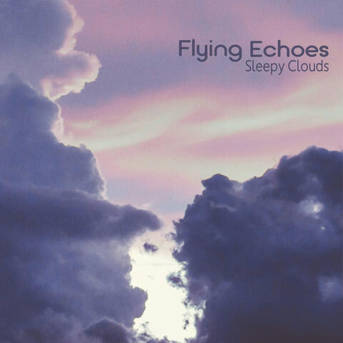 Flying Echoes album art