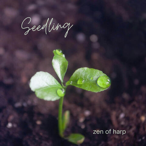 Seedling album art
