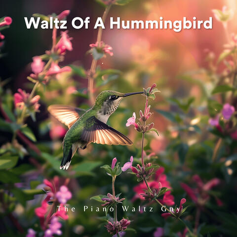 Waltz Of A Hummingbird album art