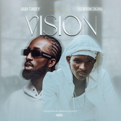 Vision album art