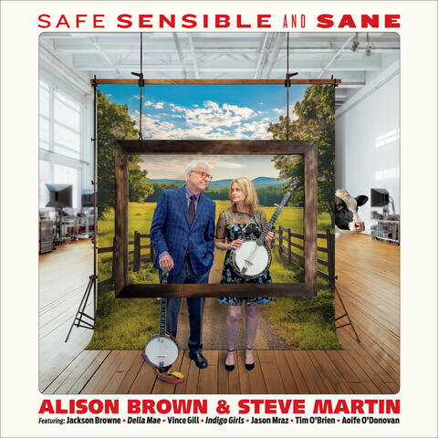 Safe, Sensible And Sane album art