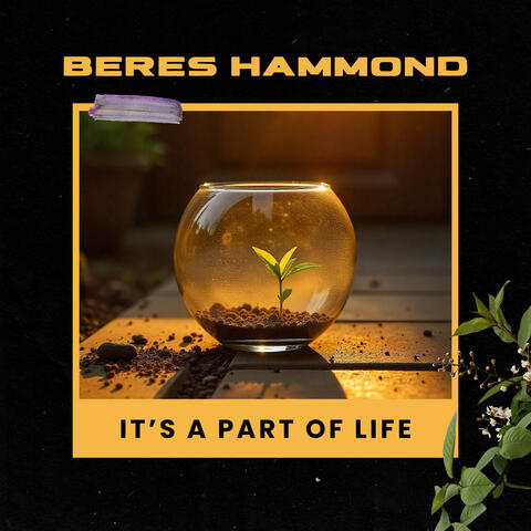 It's a part of life album art