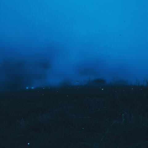 quiet morning album art