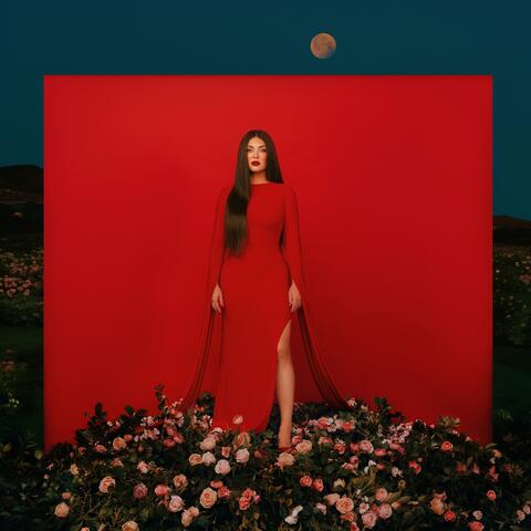 Pain and Paradise album art