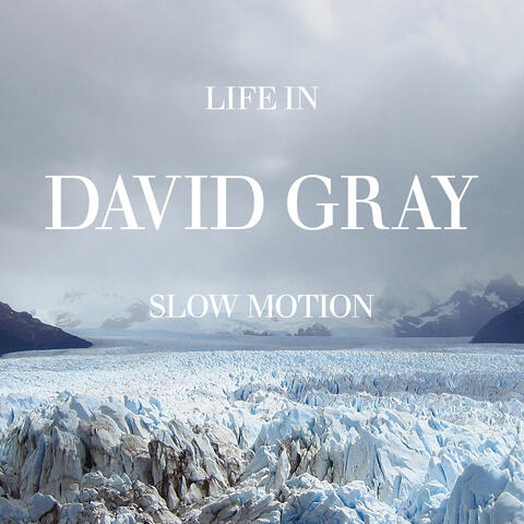Life in Slow Motion album art