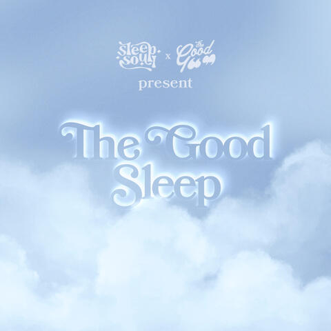 The Good Sleep album art