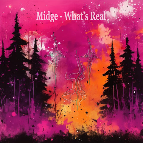 What's Real album art