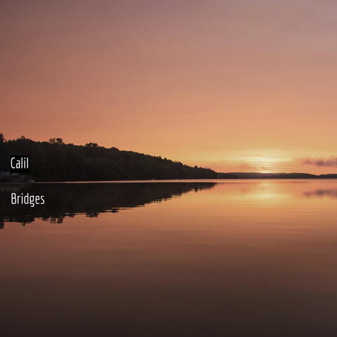 Bridges album art
