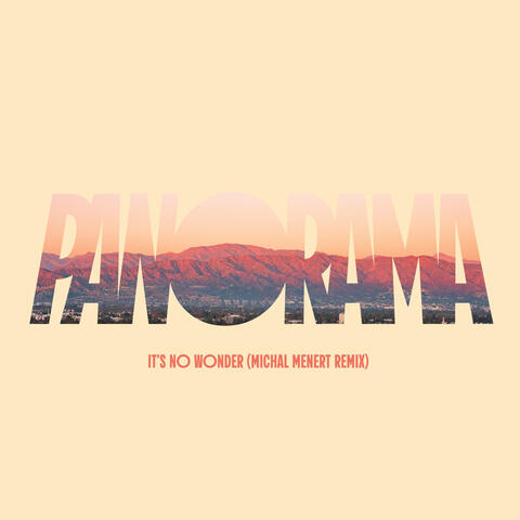 It's No Wonder album art