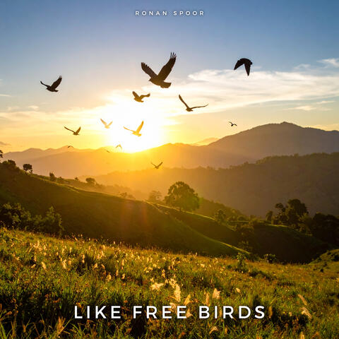 Like Free Birds album art