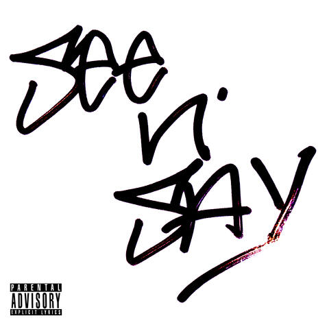 SEE N SAY album art