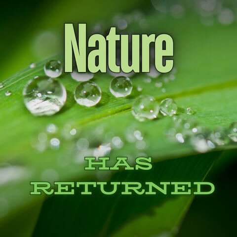 Nature Has Returned album art