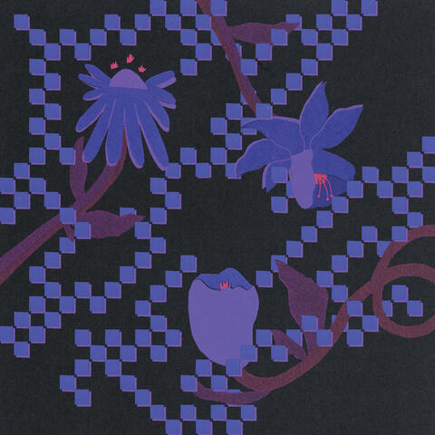 Into the Burning Blue album art