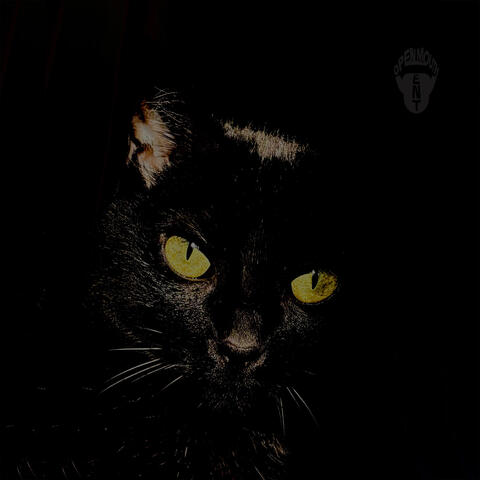 NIGHTCRAWLER album art