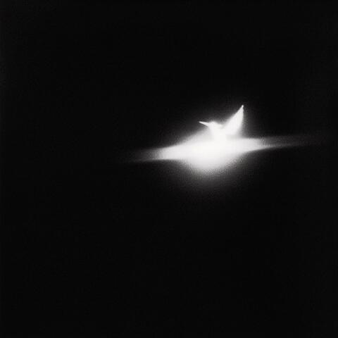 european album art
