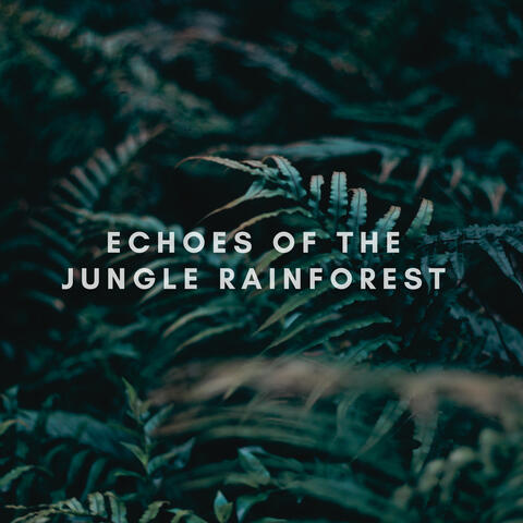 Echoes of the Jungle Rainforest album art