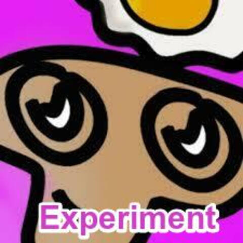 Experiment album art