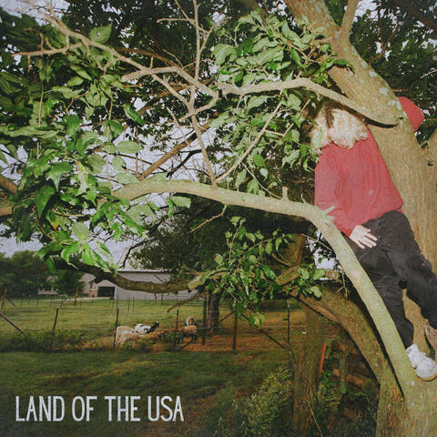 Land of the USA album art