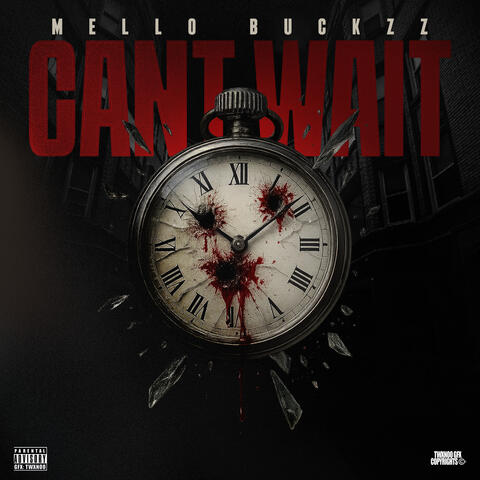 Can't Wait album art
