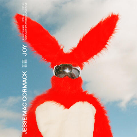 JOY album art
