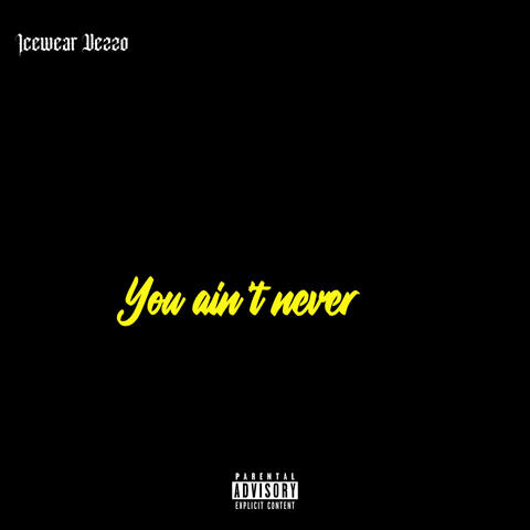 You ain’t never album art