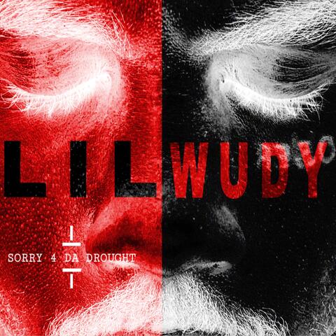Sorry 4 Da Drought album art