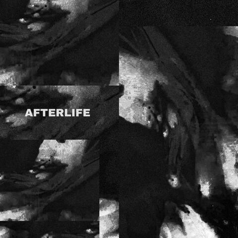 Afterlife album art